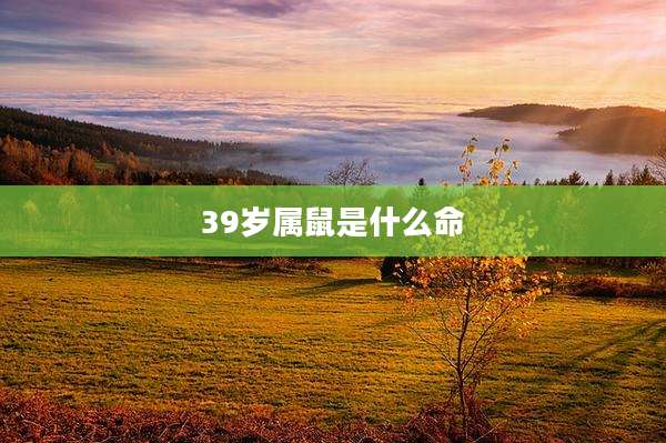 39岁属鼠是什么命