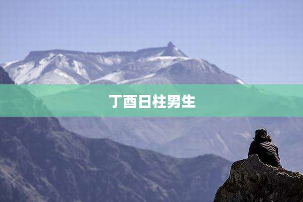 丁酉日柱男生
