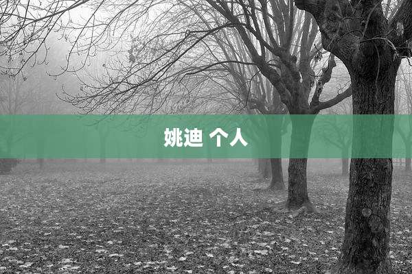 姚迪 个人