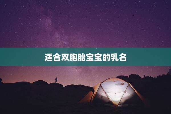 适合双胞胎宝宝的乳名