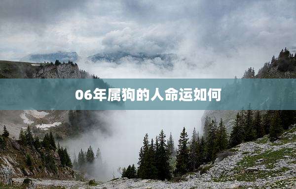 06年属狗的人命运如何