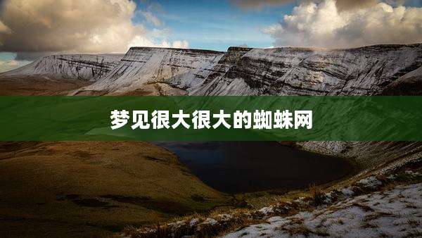 梦见很大很大的蜘蛛网