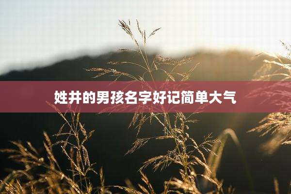 姓井的男孩名字好记简单大气