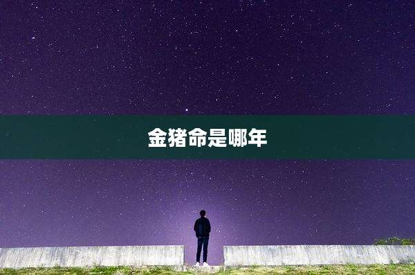 金猪命是哪年