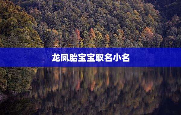 龙凤胎宝宝取名小名