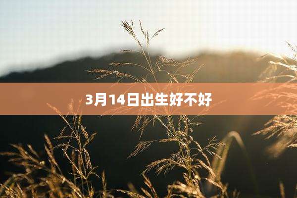 3月14日出生好不好