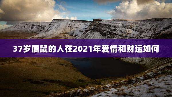 37岁属鼠的人在2021年爱情和财运如何