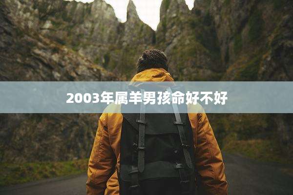 2003年属羊男孩命好不好