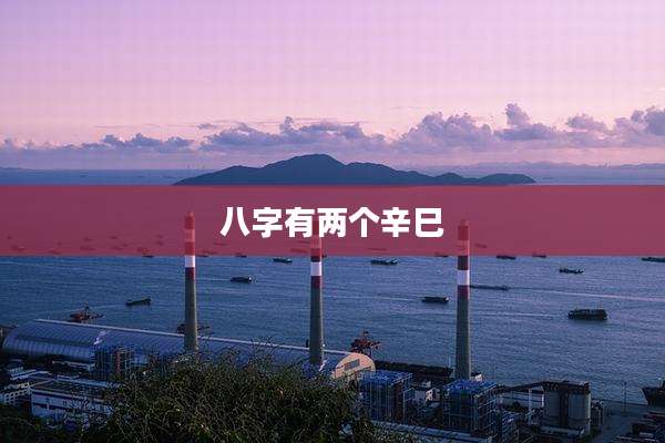八字有两个辛巳