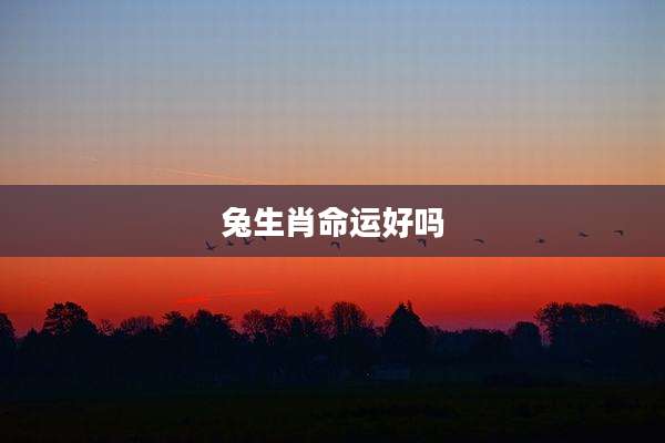 兔生肖命运好吗