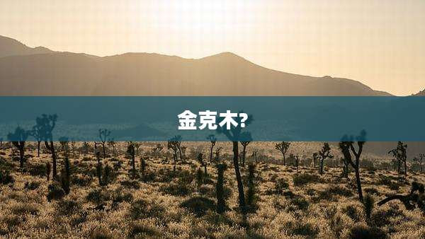 金克木?