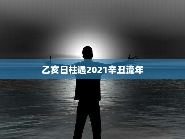 乙亥日柱遇2021辛丑流年