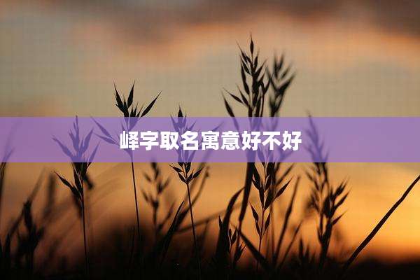 峄字取名寓意好不好