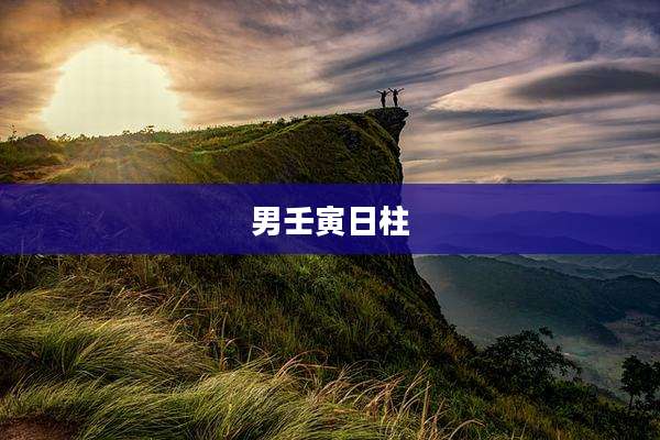 男壬寅日柱