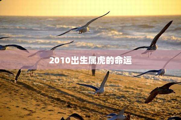 2010出生属虎的命运