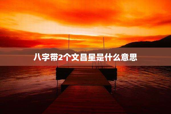 八字带2个文昌星是什么意思