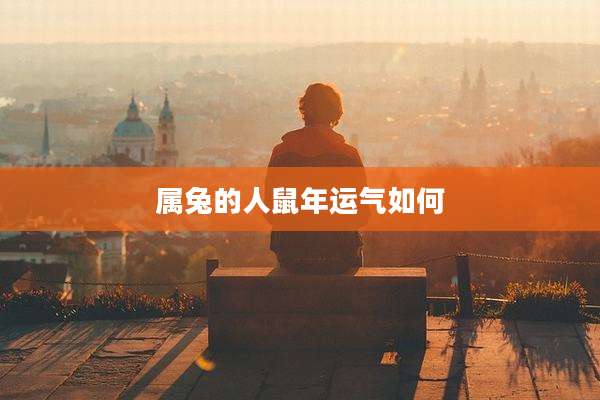 属兔的人鼠年运气如何