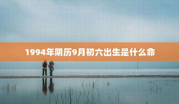 1994年阴历9月初六出生是什么命