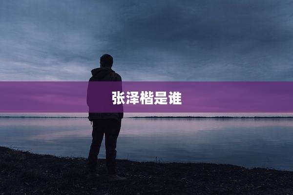 张泽楷是谁