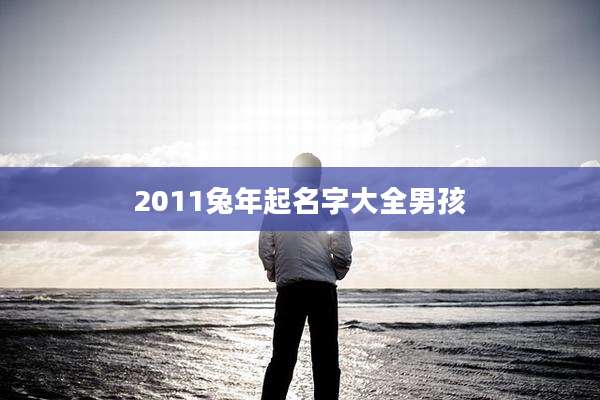 2011兔年起名字大全男孩
