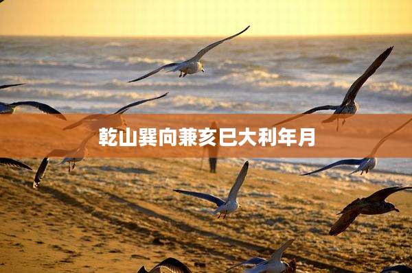 乾山巽向兼亥巳大利年月