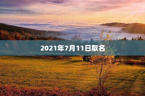 2021年7月11日取名