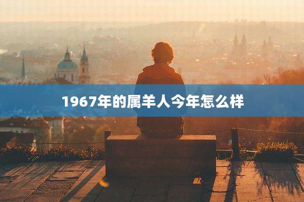 1967年的属羊人今年怎么样