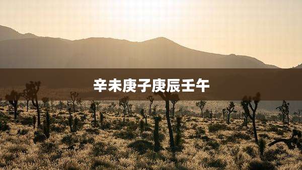 辛未庚子庚辰壬午