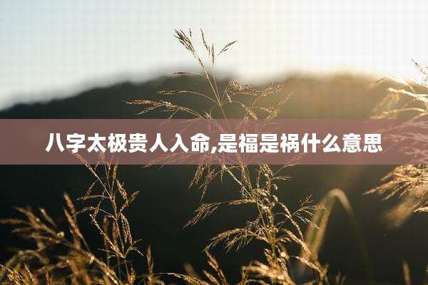 八字太极贵人入命,是福是祸什么意思
