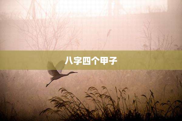 八字四个甲子