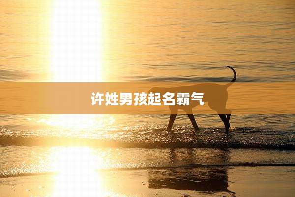 许姓男孩起名霸气