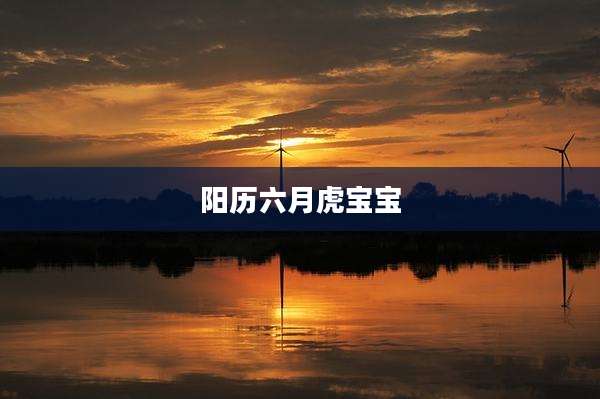 阳历六月虎宝宝