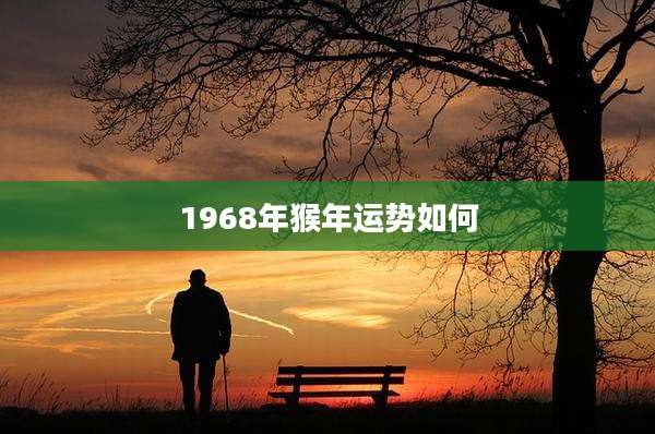 1968年猴年运势如何