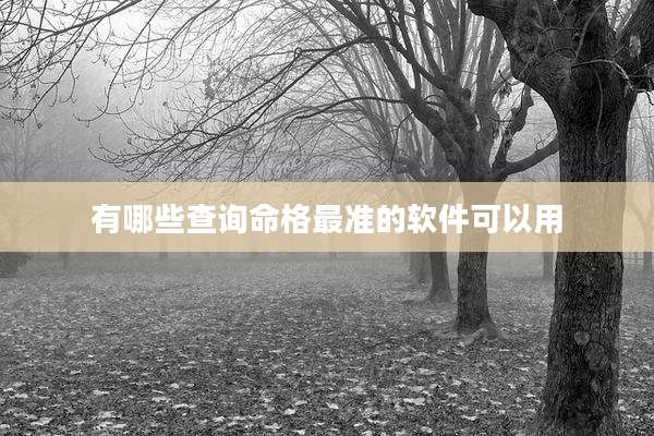 有哪些查询命格最准的软件可以用