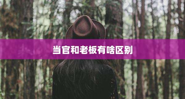 当官和老板有啥区别
