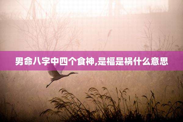男命八字中四个食神,是福是祸什么意思