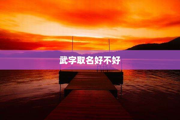 武字取名好不好