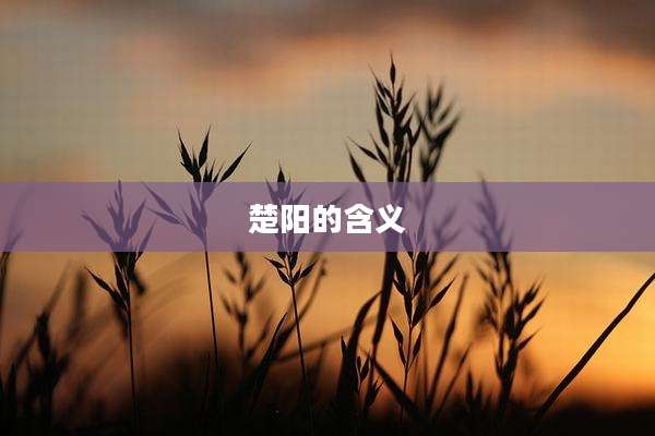 楚阳的含义