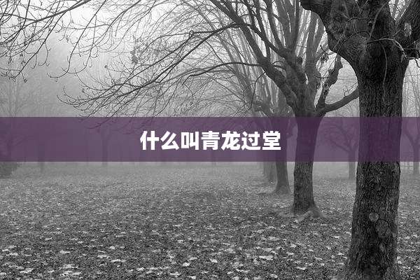 什么叫青龙过堂