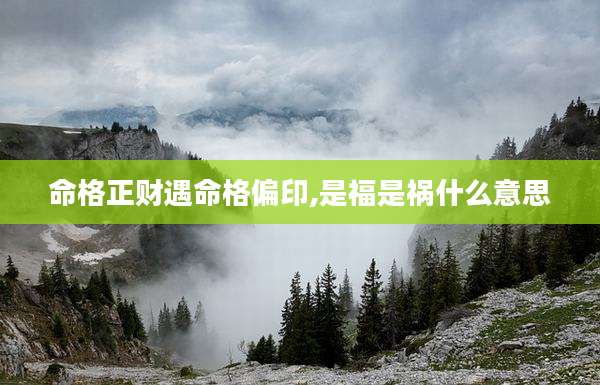 命格正财遇命格偏印,是福是祸什么意思