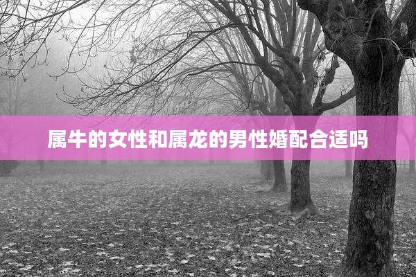 属牛的女性和属龙的男性婚配合适吗