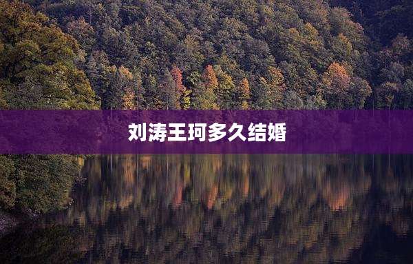 刘涛王珂多久结婚