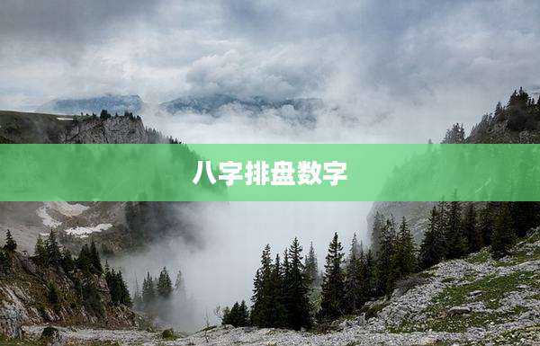 八字排盘数字