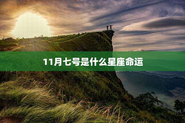 11月七号是什么星座命运