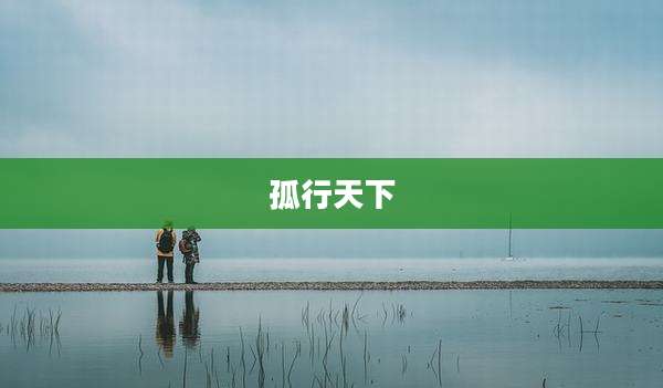孤行天下