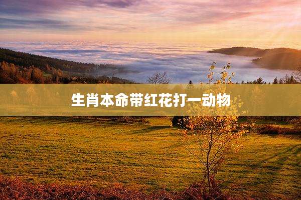 生肖本命带红花打一动物