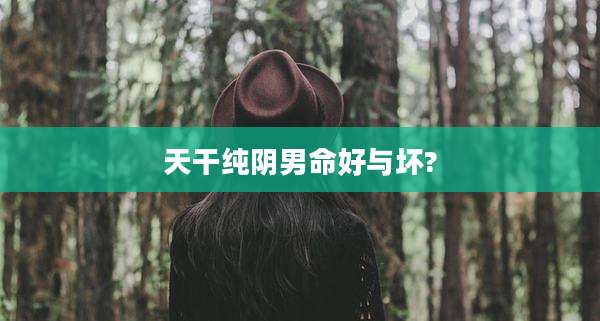 天干纯阴男命好与坏?