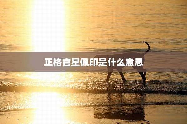正格官星佩印是什么意思