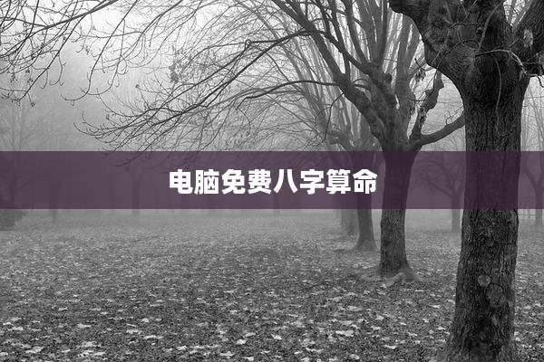 电脑免费八字算命