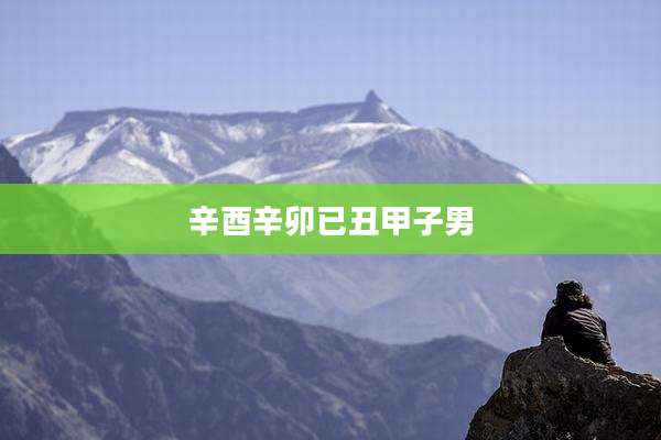 辛酉辛卯已丑甲子男